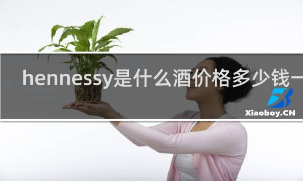 hennessy是什么酒价格多少钱一瓶