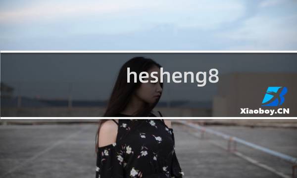 hesheng8  试用主机更换套餐