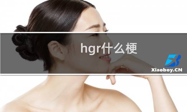 hgr什么梗
