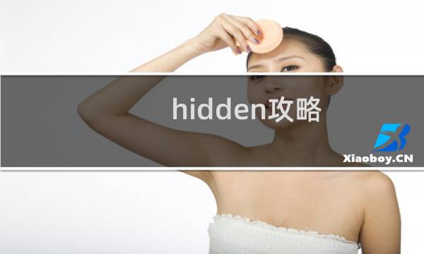 hidden攻略