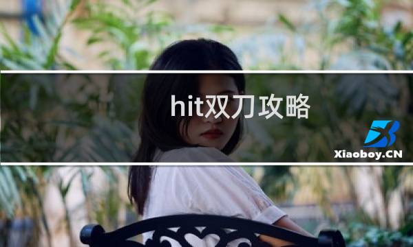 hit双刀攻略