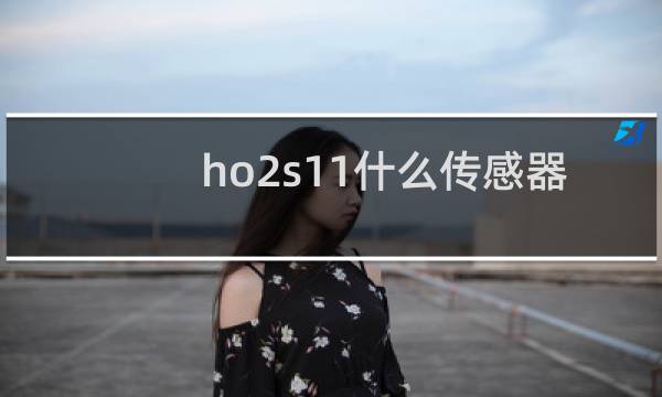 ho2s11什么传感器