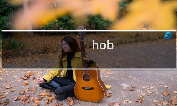 hob 攻略视频