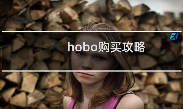 hobo购买攻略