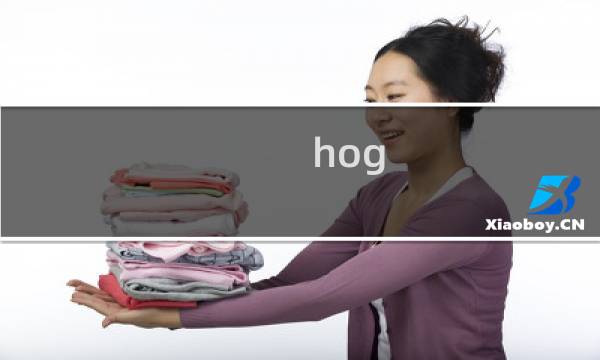 hog图片