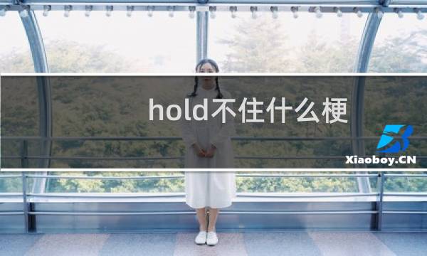 hold不住什么梗