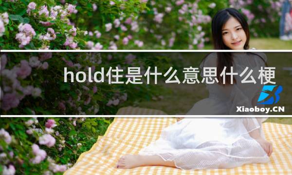 hold住是什么意思什么梗