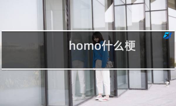 homo什么梗