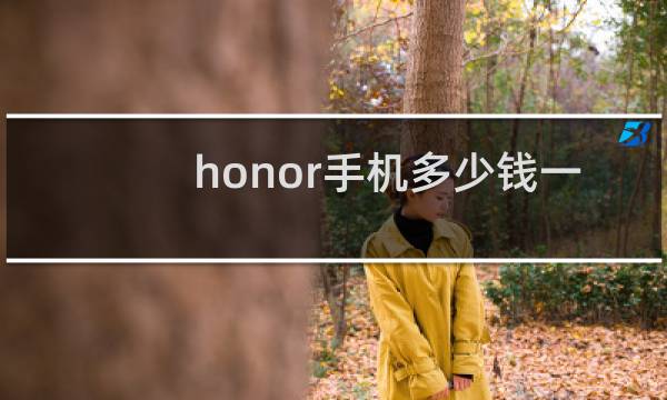 honor手机多少钱一个