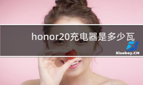honor20充电器是多少瓦