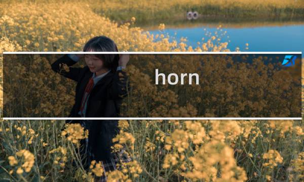 horn 号角攻略 25