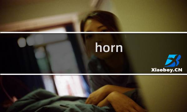 horn 攻略