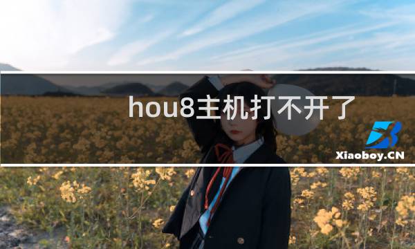 hou8主机打不开了-市场咨询