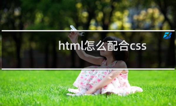 html怎么配合css