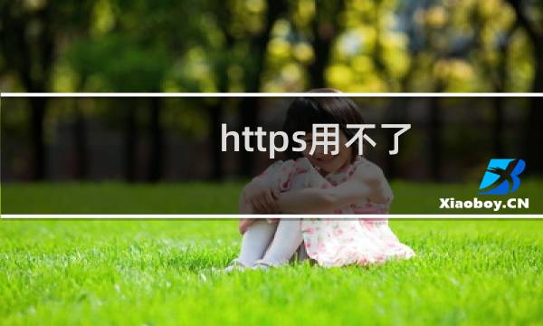 https用不了，不能访问https:h5.hnxd.lov