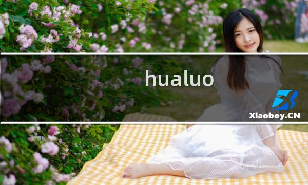 hualuo.cc 解析了打不开