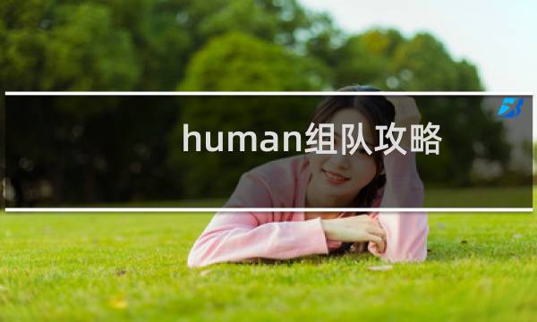 human组队攻略