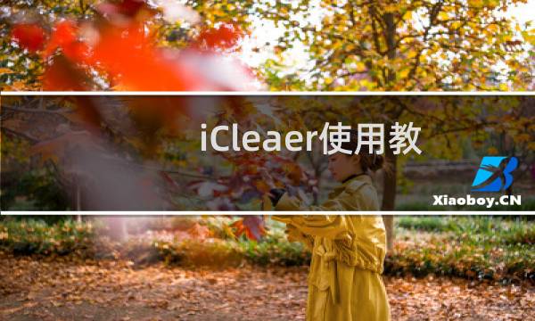 iCleaer使用教程.iCleaer中文版设置教程[图文]