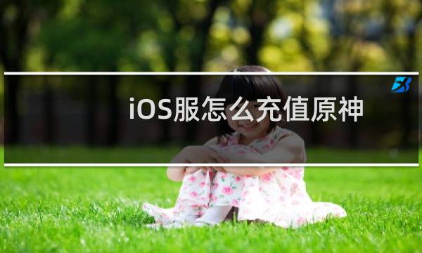 iOS服怎么充值原神