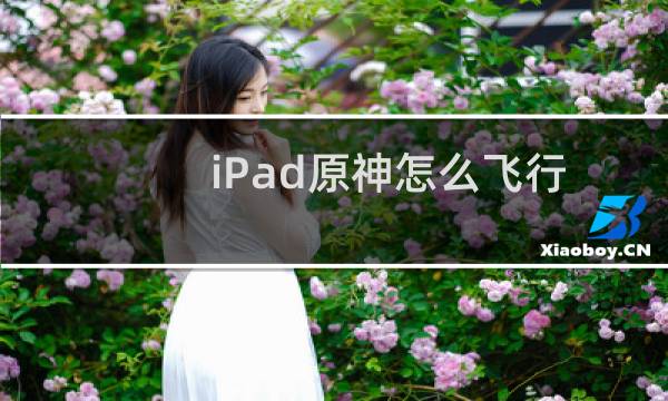 iPad原神怎么飞行