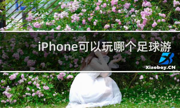 iPhone可以玩哪个足球游戏