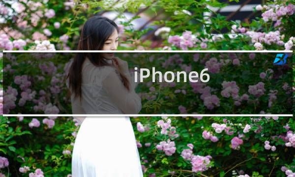 iPhone6/iPad air2怎么查询序列号？