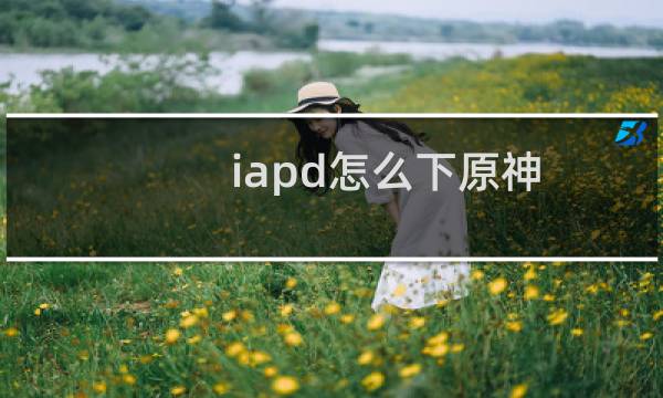 iapd怎么下原神