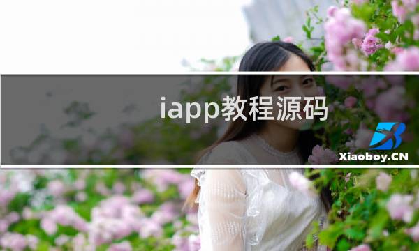 iapp教程源码