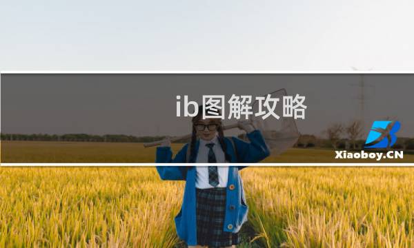 ib图解攻略