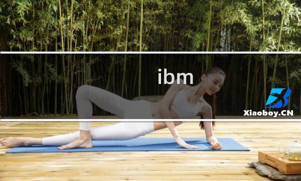 ibm db2数据库
