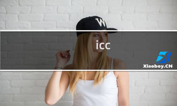 icc 10 攻略