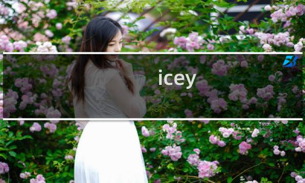 icey 成就攻略