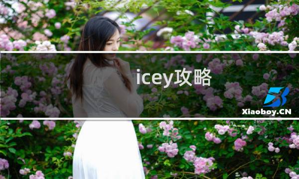 icey攻略 密码