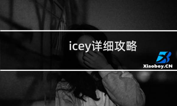 icey详细攻略