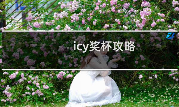 icy奖杯攻略
