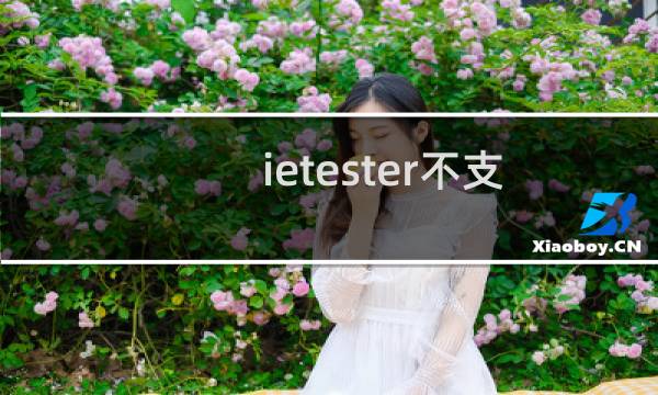 ietester不支持win10怎么办？win10上IEtester无法使用的解决方法