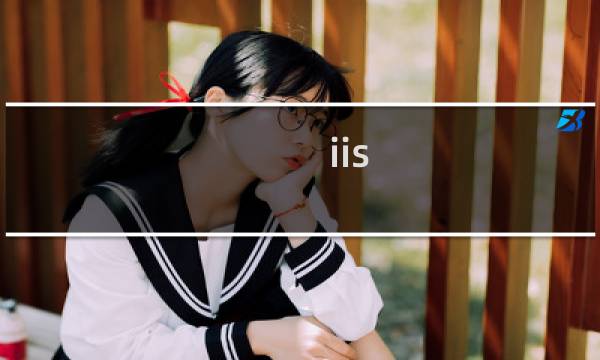 iis php服务器错误