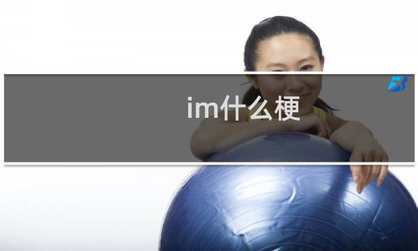 im什么梗