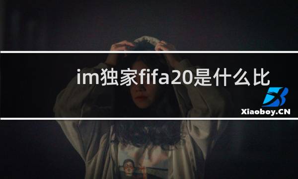 im独家fifa20是什么比赛