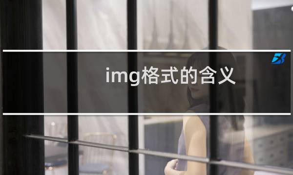 img格式的含义
