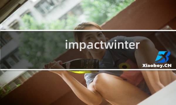 impactwinter 攻略