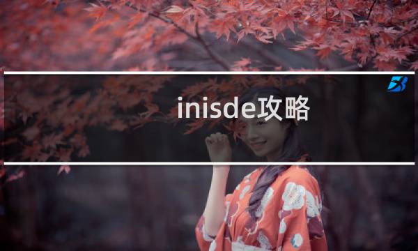 inisde攻略