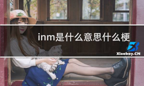 inm是什么意思什么梗