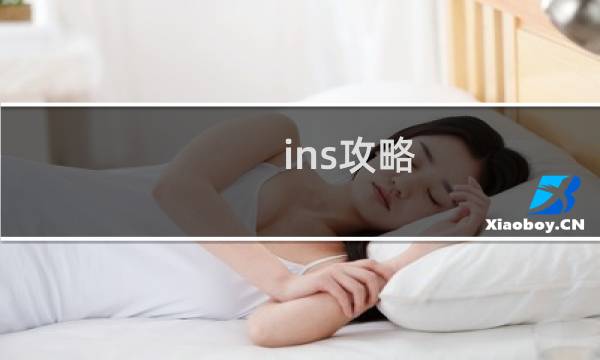 ins攻略