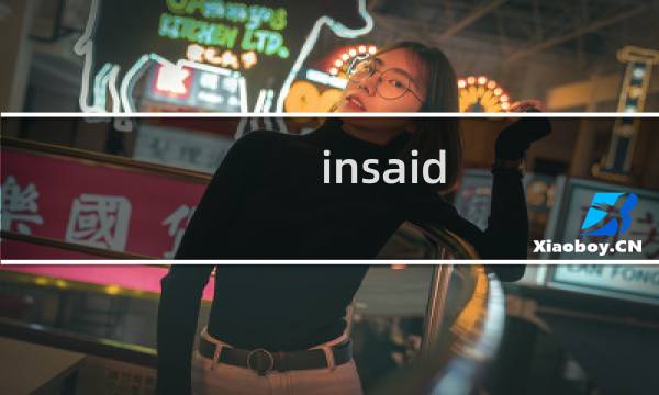 insaid 攻略