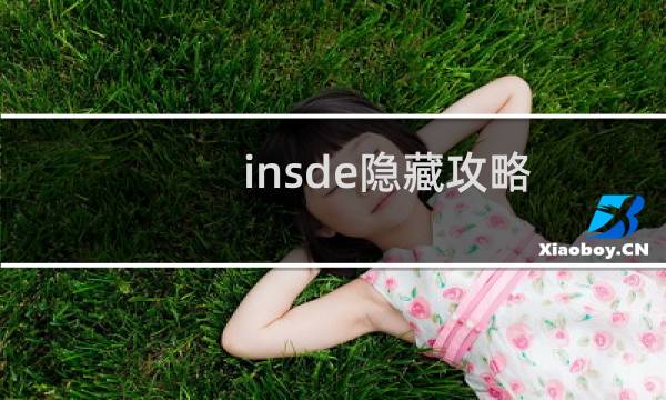 insde隐藏攻略