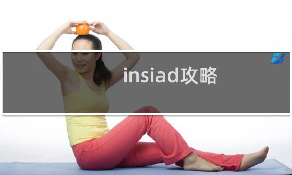 insiad攻略