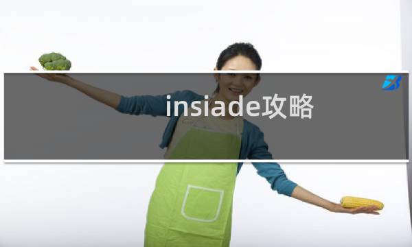 insiade攻略