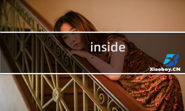 inside 攻略猪