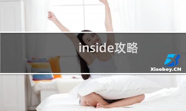 inside攻略 最新